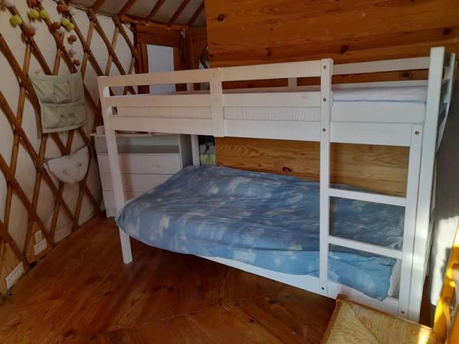 Charmante Yourte Contemporaine Carmaux Екстер'єр фото